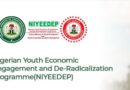 Apply Now: FGN NIYEEDEP Programme 2025 Applications Open