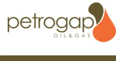 Job Vacancy at Petrogap Oil and Gas Limited in 2025